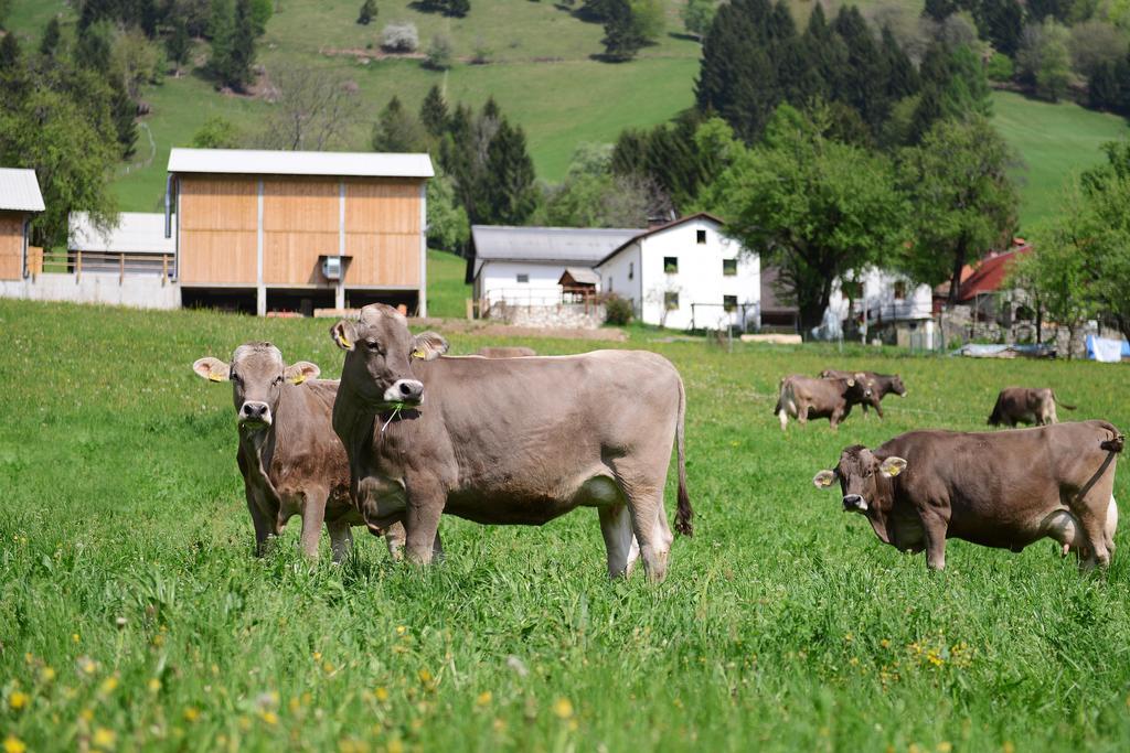 Ekoloska Turisticna Kmetija Pri Lovrcu Tolmin Exterior photo